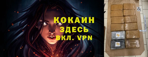 индика Алексеевка