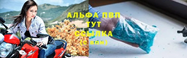 индика Алексеевка