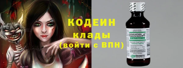 гашик Алзамай