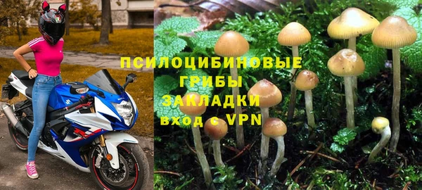 дживик Абинск
