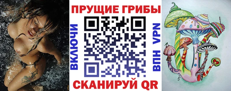 Псилоцибиновые грибы Psilocybine cubensis купить сайты Карабулак